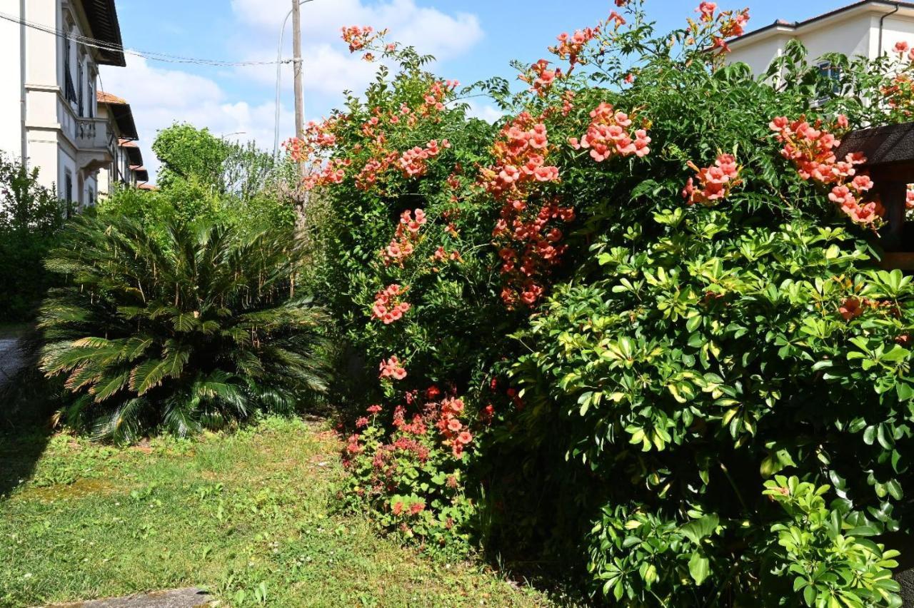 Villa Mehari Pisa Exteriér fotografie