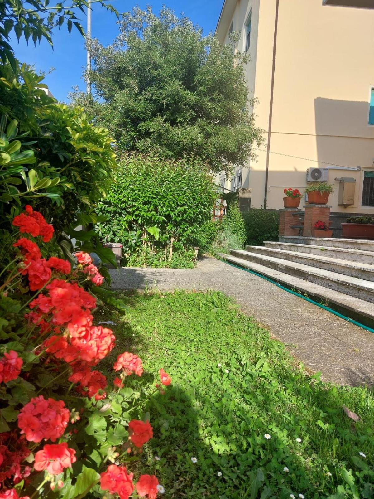 Villa Mehari Pisa Exteriér fotografie
