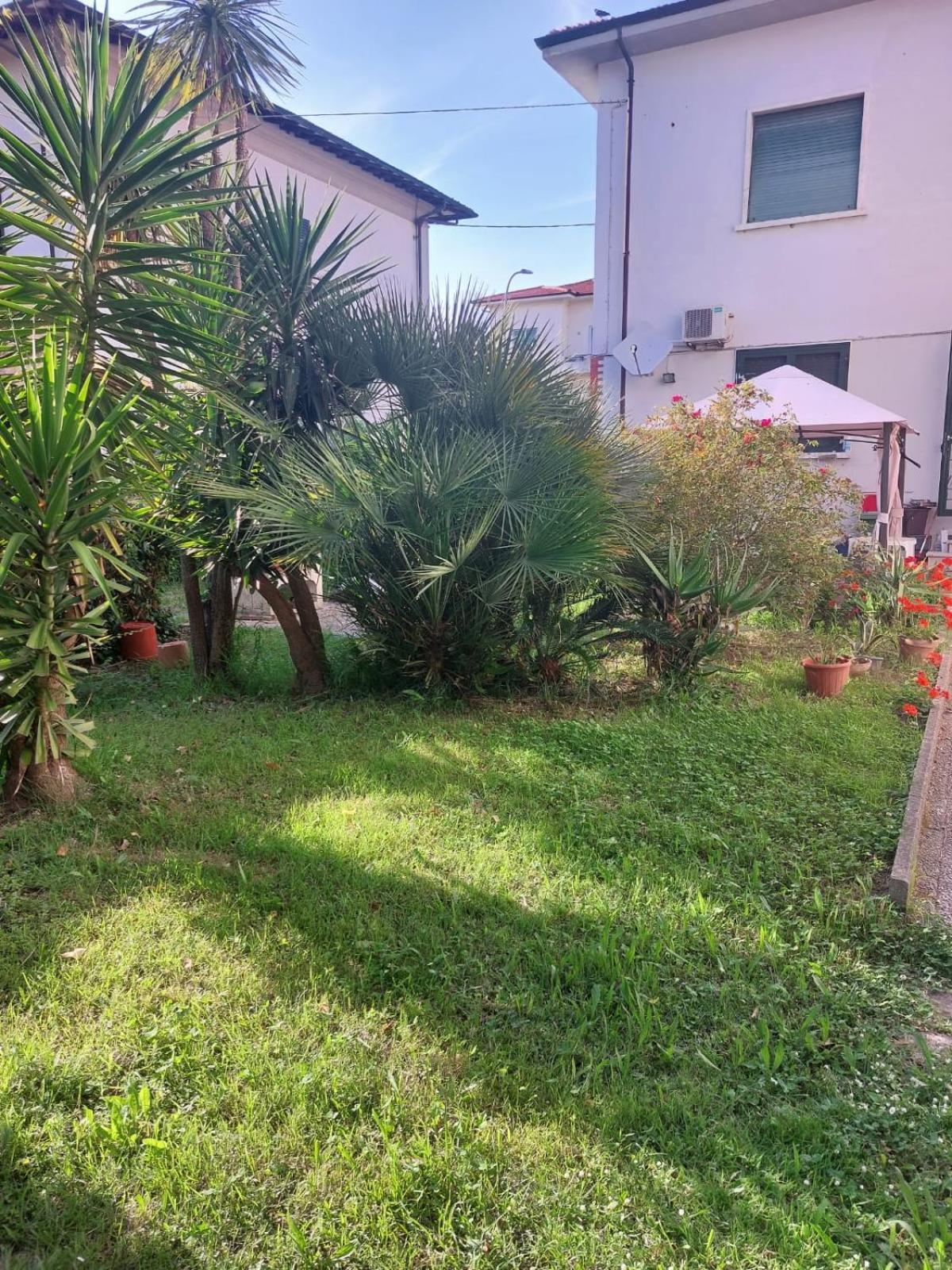 Villa Mehari Pisa Exteriér fotografie