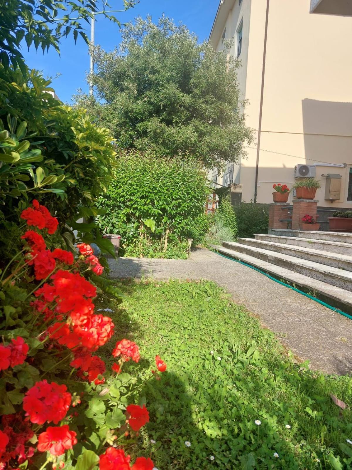 Villa Mehari Pisa Exteriér fotografie